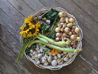 PXL_20250729_203541960