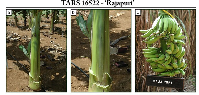 Screen Shot 2025-09-25 at 9.13.36 AM