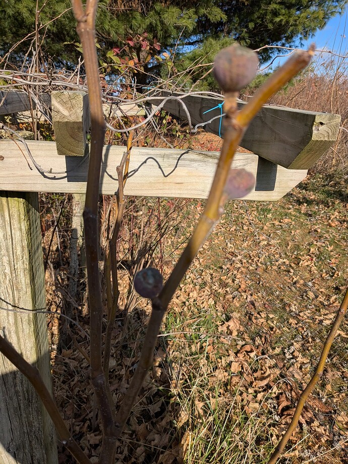 PXL_20251128_165347997