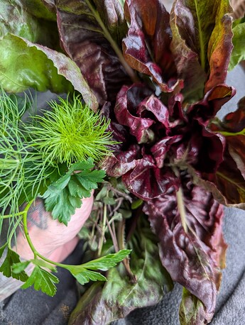 PXL_20251221_223514248