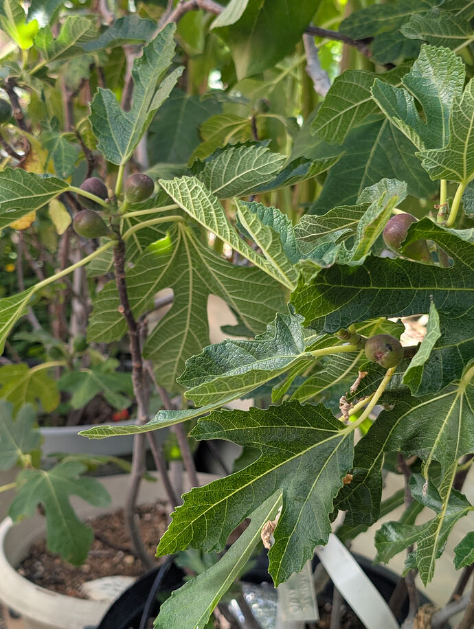 PXL_20260619_210013470