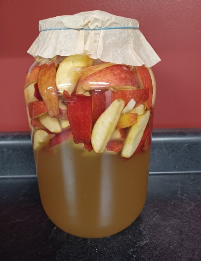 Screenshot_20251014_162837_Gallery