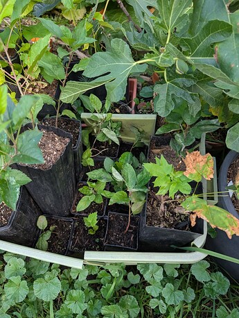 PXL_20250814_233646206