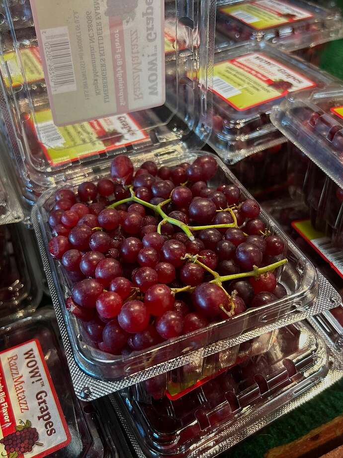 542310684_18529893646009761_4888157135033563205_n