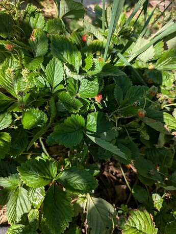 PXL_20250724_221121640