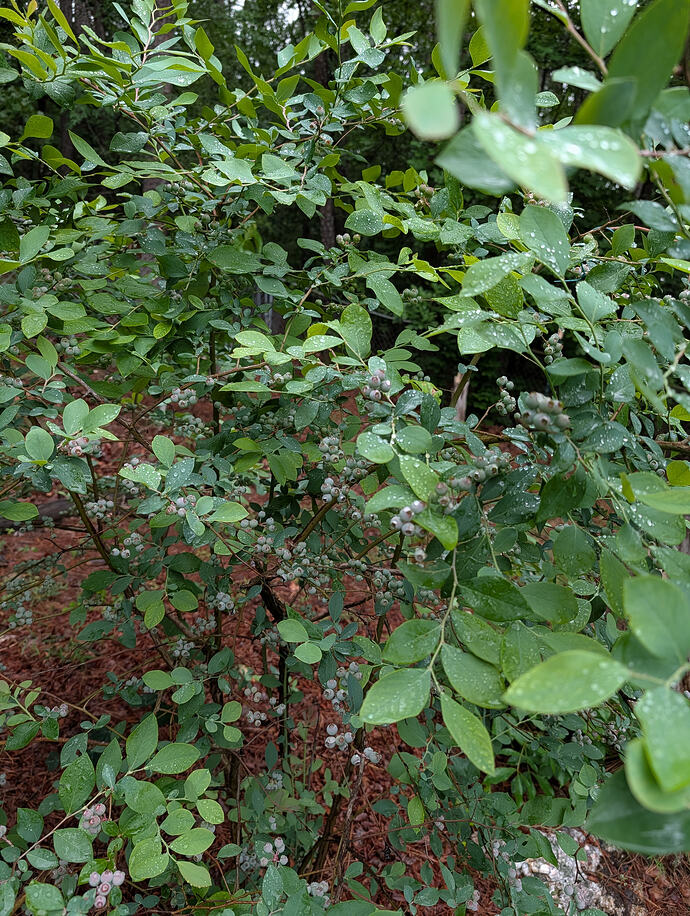 PXL_20260505_213704690