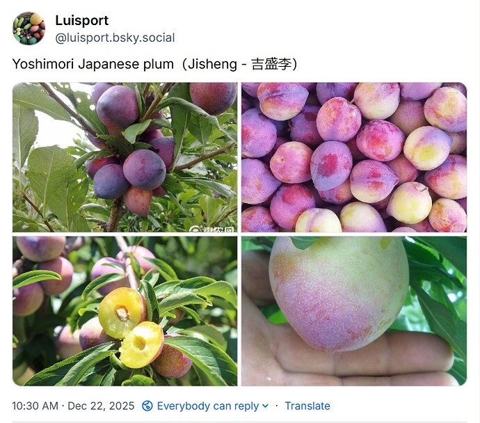 WhatsApp Image 2025-12-22 at 13.47.29