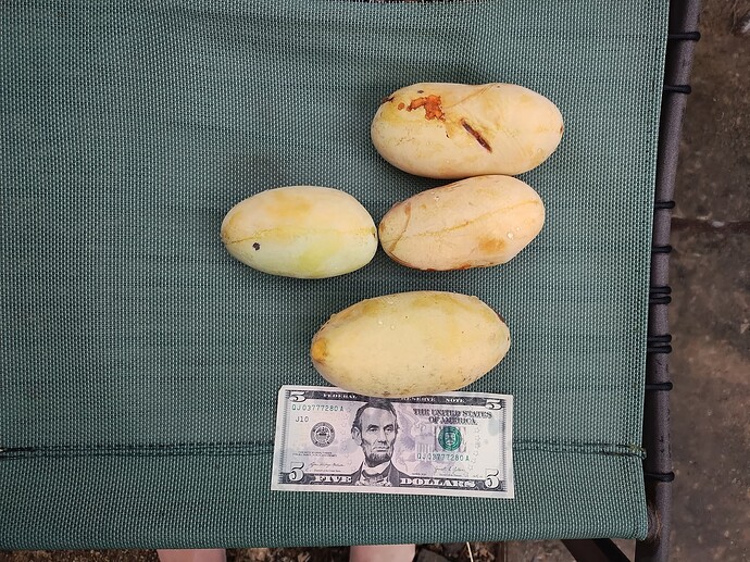 IMG_20250818_110601600