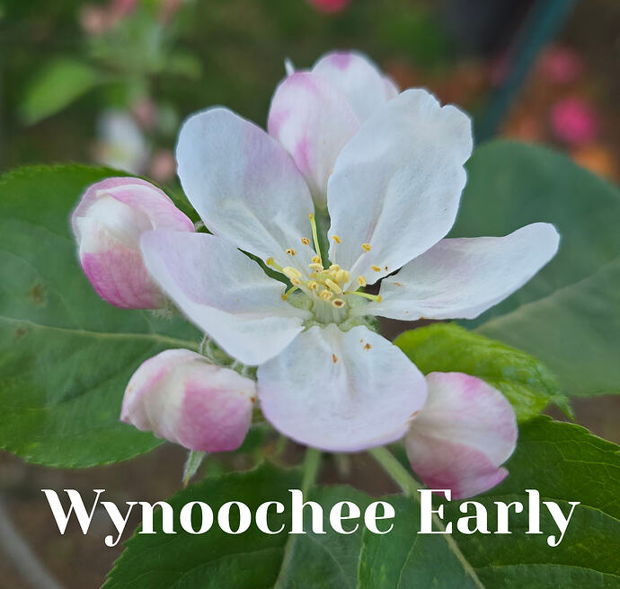 20260409_080414 (2026-04-09T18_57_56.748)