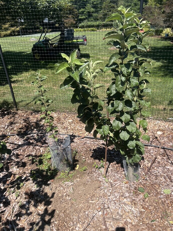 05CDD72D-A873-494F-BE1E-712CD00D13A1_1_105_c