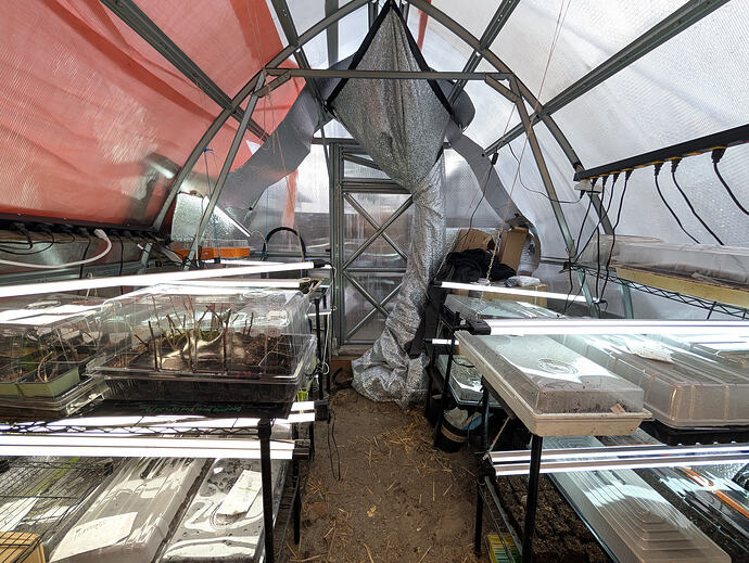 PXL_20260213_235549580