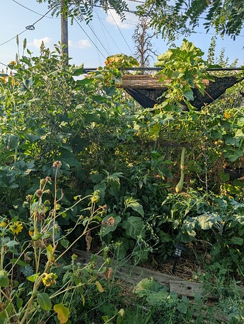 PXL_20250908_003810989