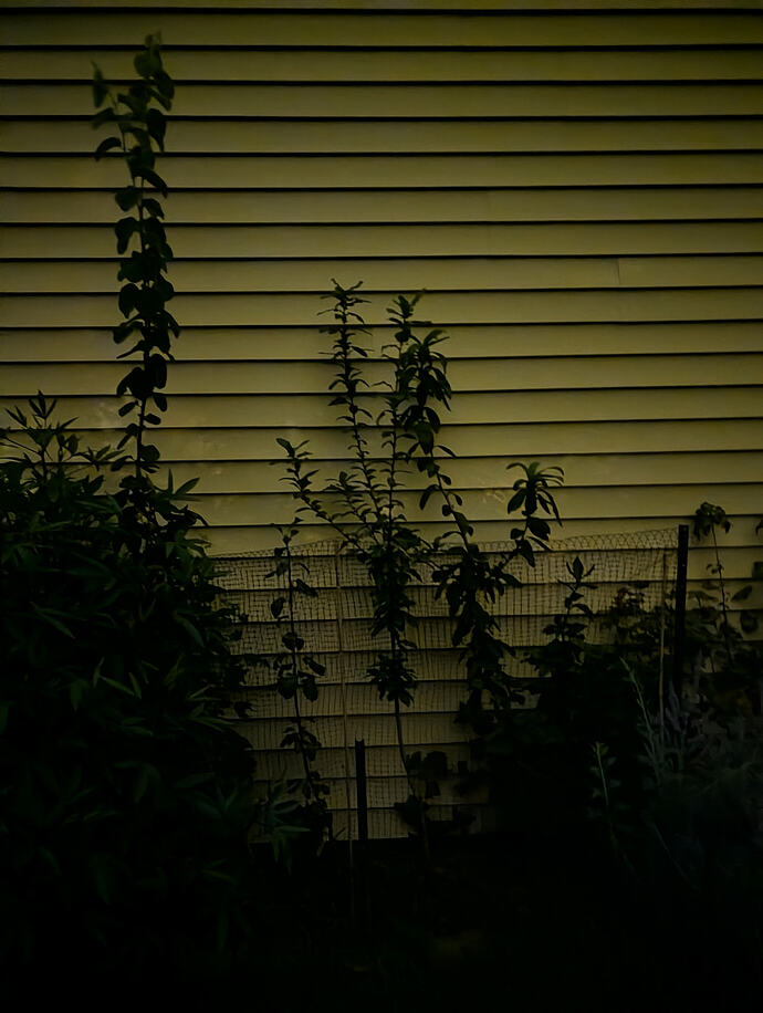 PXL_20260920_052618116