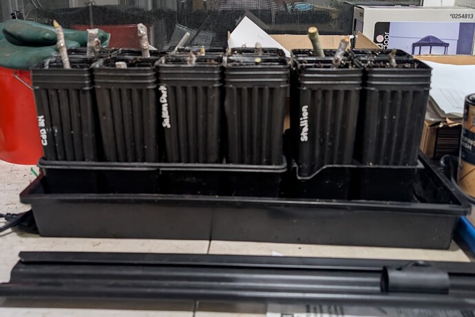 PXL_20251226_053540775