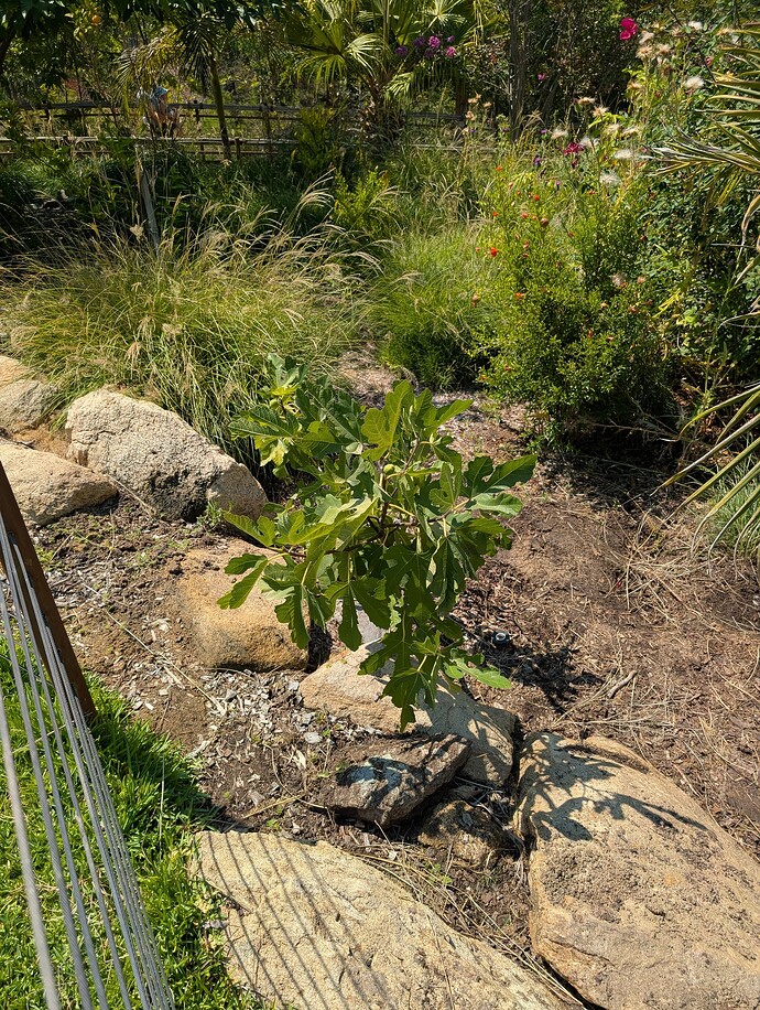 PXL_20250806_180223044