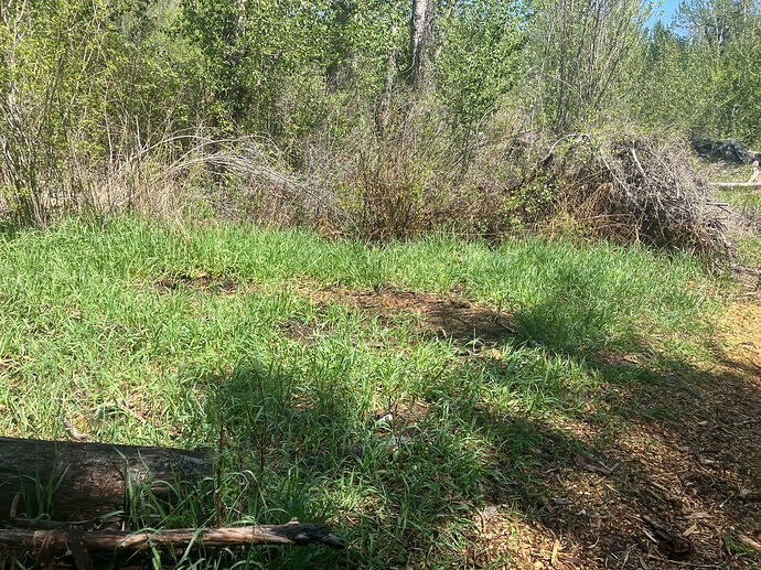 IMG_2434