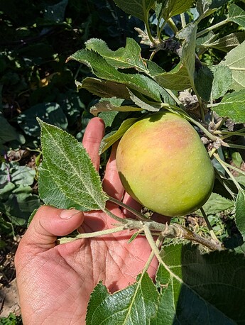 PXL_20250724_221129752