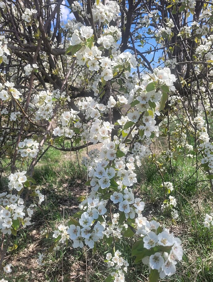 2371f44357bba18dcd80c30c17d3c8d979de3749_2_1380x1822