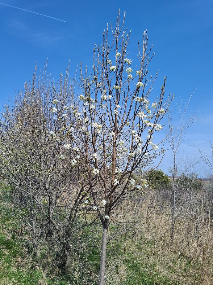 29593f0f439b216ad6d114103b84d64f55d1294e_2_1380x1840