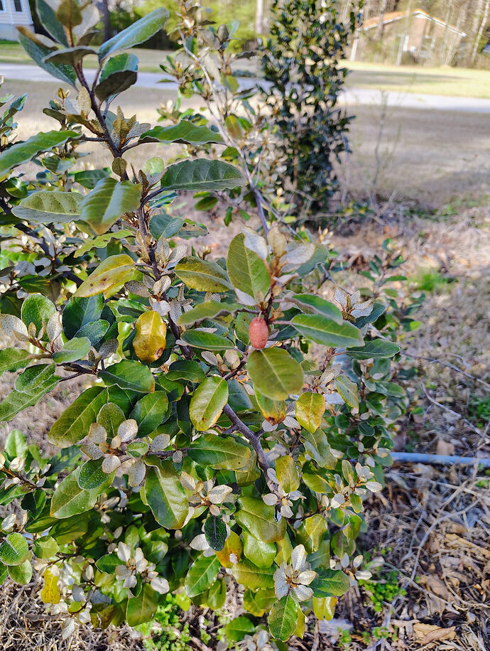IMG_20260317_173530187_HDR_AE