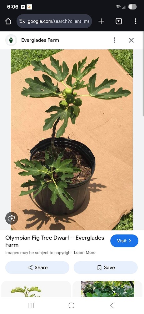 Screenshot_20250715_180631_Chrome