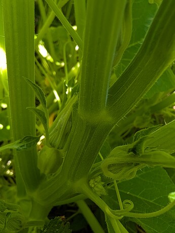 PXL_20250724_213309433