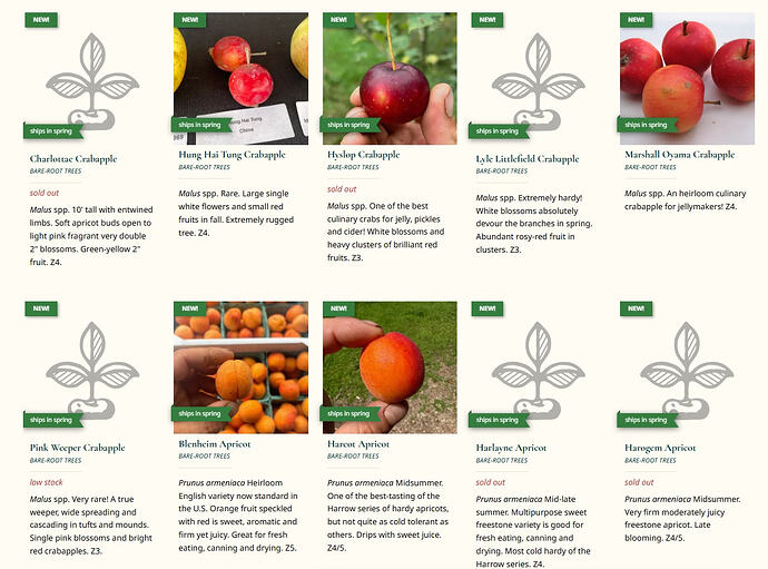 Screenshot 01-22-2026 11.40.34