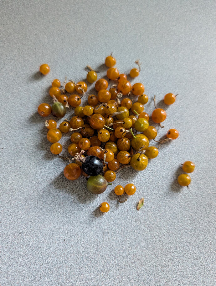 PXL_20260613_221151913
