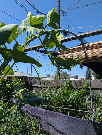 PXL_20250724_213020013