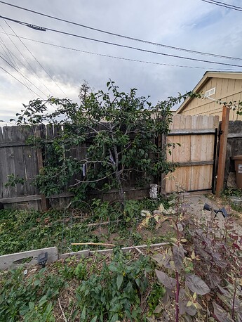 PXL_20250620_022047497