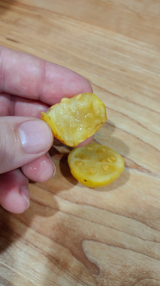 IMG_20250819_201300691-01