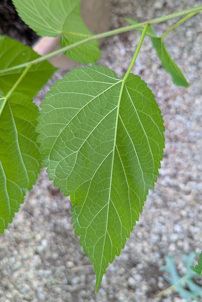 PXL_20260708_210901960