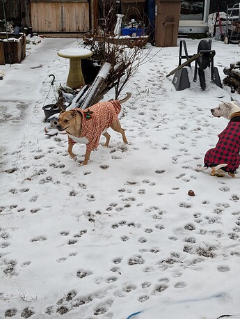 PXL_20260102_191000064