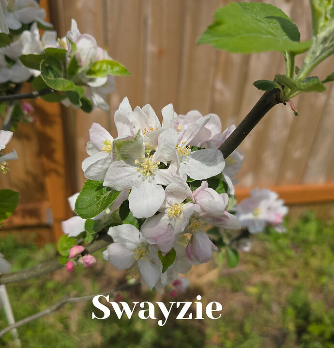 20260410_140328 (2026-04-11T13_50_15.587)