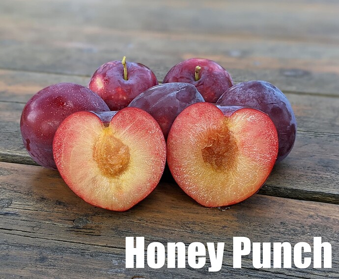 Honey Punch_2025