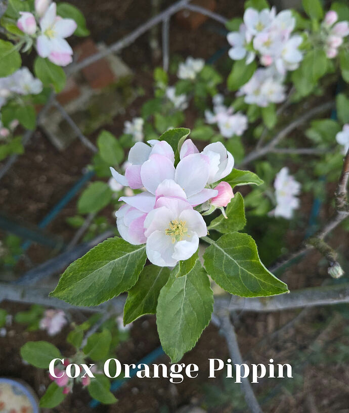 20260408_064832_edit_1775656957377