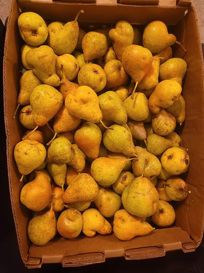 20d13959e22f75dc036c3d63629618c594b6975d_2_1380x1840