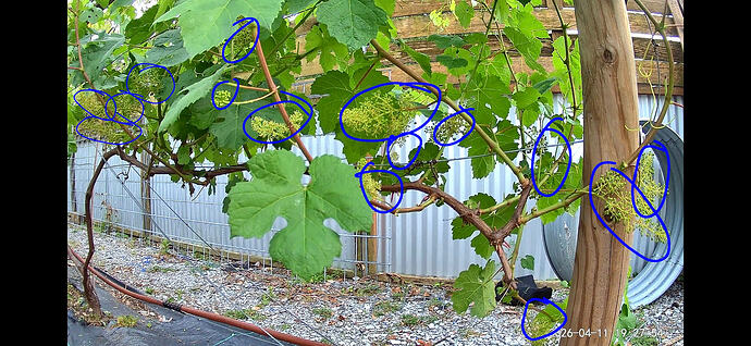Screenshot_20260411_192756_Wyze~2