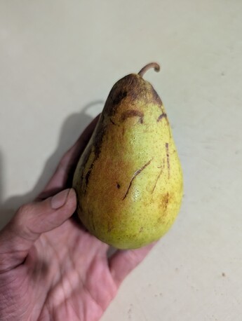 PXL_20250914_013906598