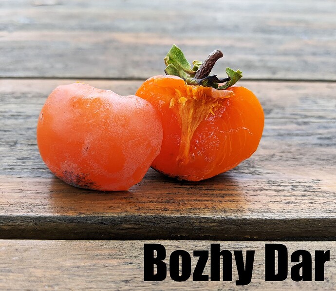 Bozhy Dar_2025