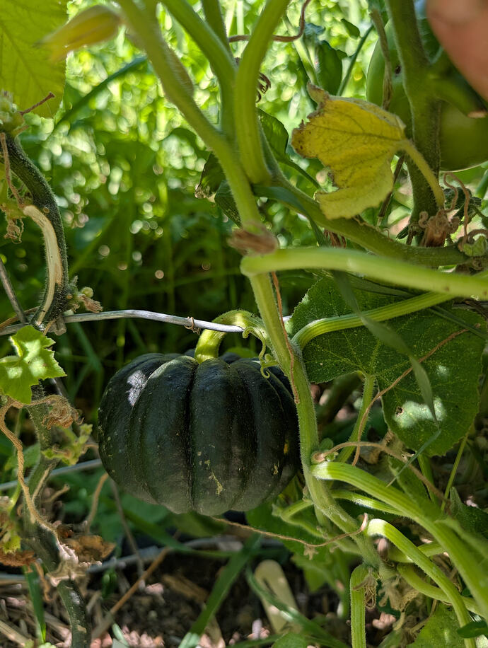 PXL_20260713_225349742
