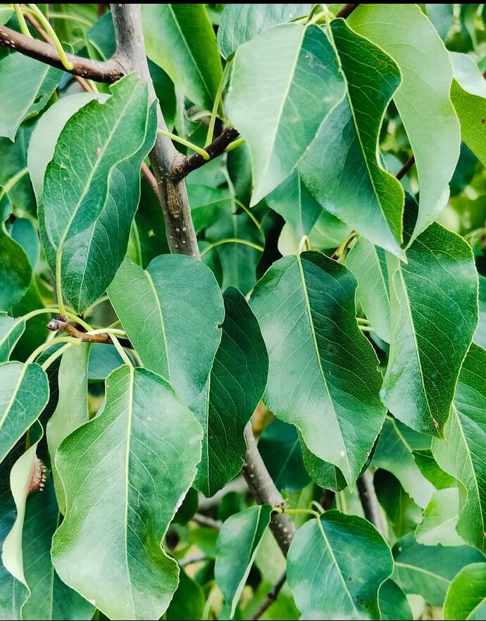 Screenshot_20251010_162545_Facebook