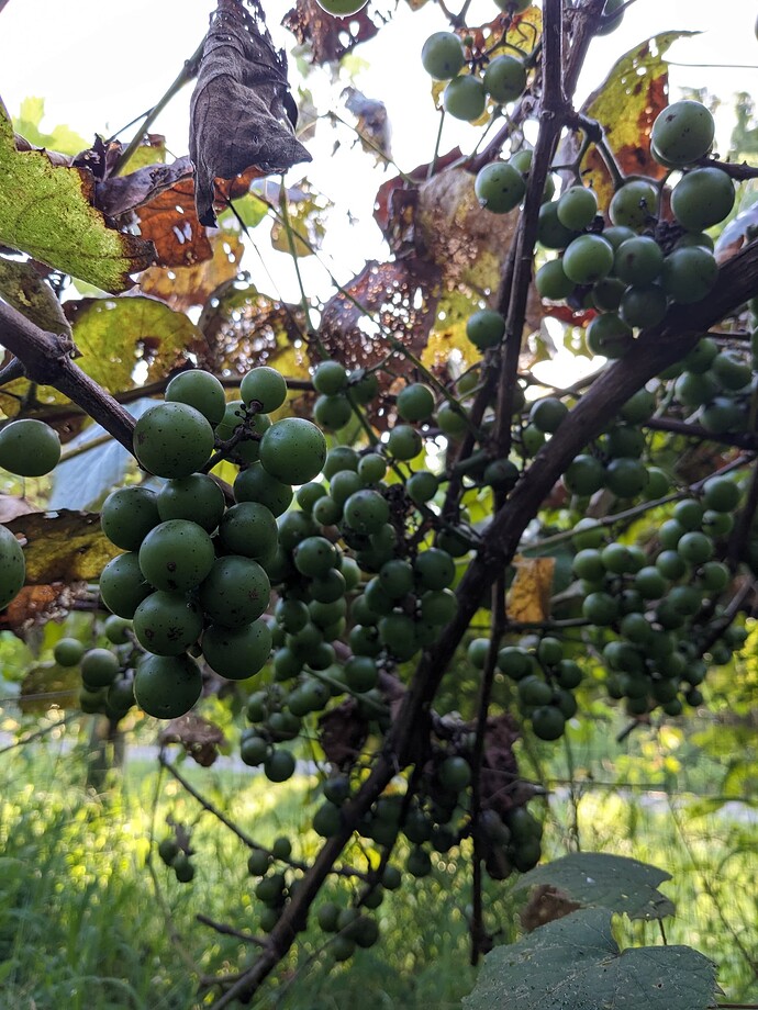 PXL_20240704_130340173