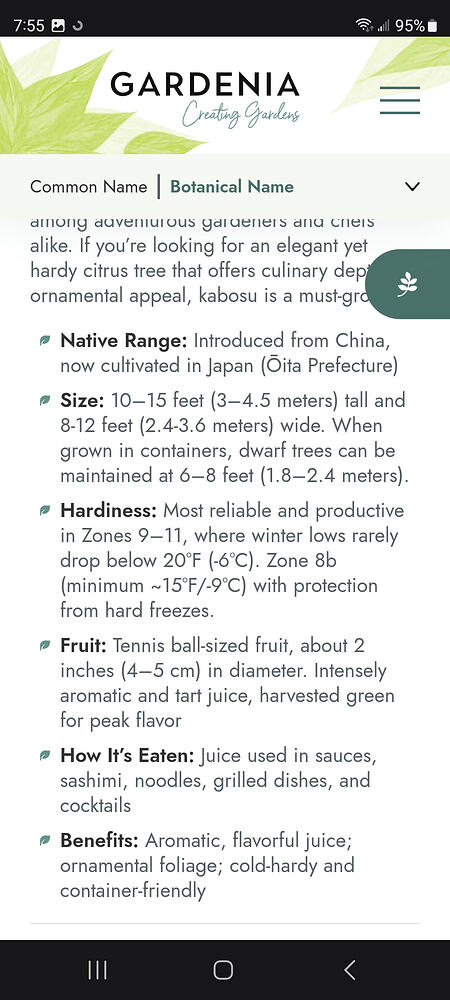 Screenshot_20260620_075524_Samsung Browser
