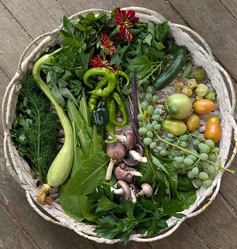 PXL_20250802_212004429