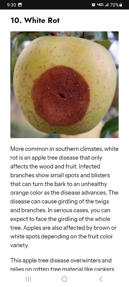 Screenshot_20250823_213040_Brave