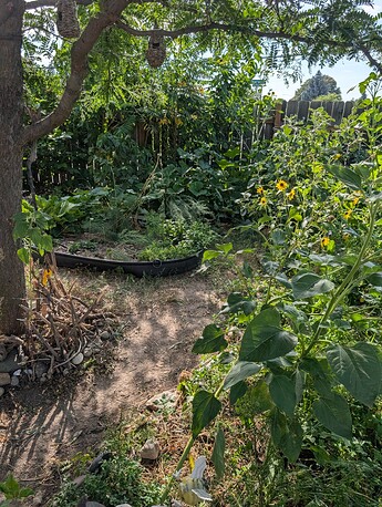 PXL_20250814_233516233