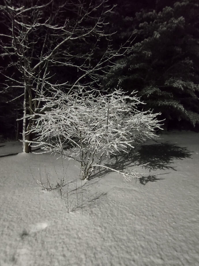 IMG_20260203_210915170_HDR