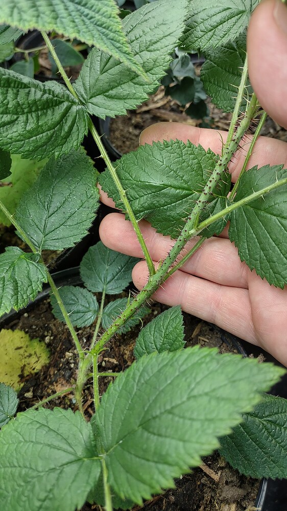 IMG_20251107_120314092_HDR