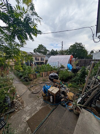 PXL_20250722_211829561